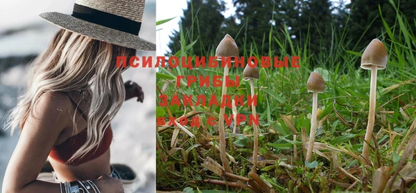 героин Михайловка