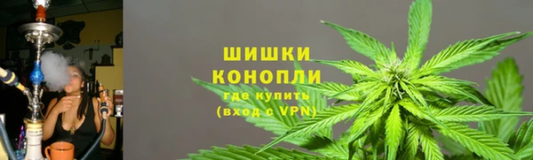 ПСИЛОЦИБИНОВЫЕ ГРИБЫ Аркадак