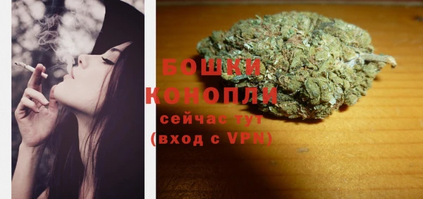 ПСИЛОЦИБИНОВЫЕ ГРИБЫ Аркадак